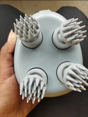 WhatsApp Image 2026-01-05 at 4.17.31 PM.jpeg